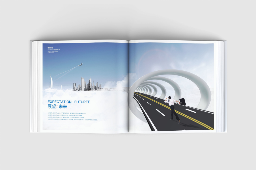 新邵县画册设计